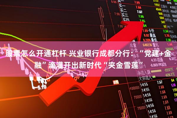 股票怎么开通杠杆 兴业银行成都分行：“党建+金融”滴灌开出新时代“夹金雪莲”