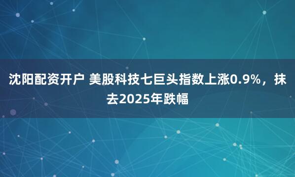 沈阳配资开户 美股科技七巨头指数上涨0.9%，抹去2025年跌幅